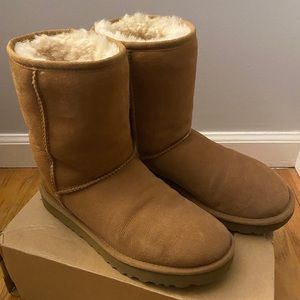 Short Chestnut Uggs